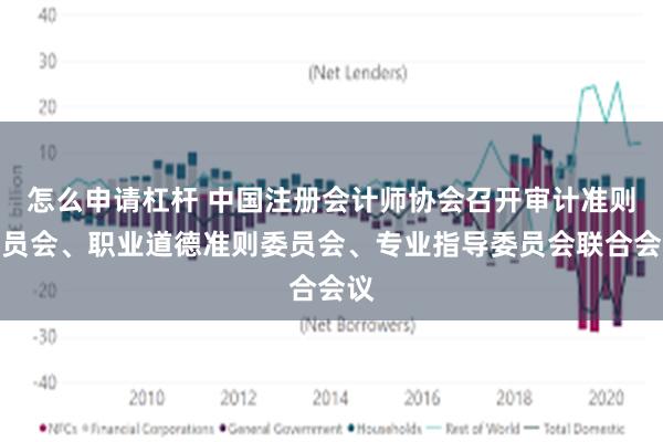 怎么申请杠杆 中国注册会计师协会召开审计准则委员会、职业道德准则委员会、专业指导委员会联合会议