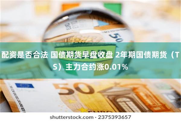 配资是否合法 国债期货早盘收盘 2年期国债期货（TS）主力合约涨0.01%