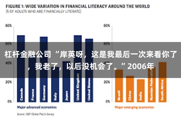 杠杆金融公司 “岸英呀，这是我最后一次来看你了，我老了，以后没机会了。”2006年