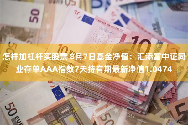 怎样加杠杆买股票 8月7日基金净值：汇添富中证同业存单AAA指数7天持有期最新净值1.0474