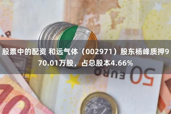 股票中的配资 和远气体（002971）股东杨峰质押970.01万股，占总股本4.66%