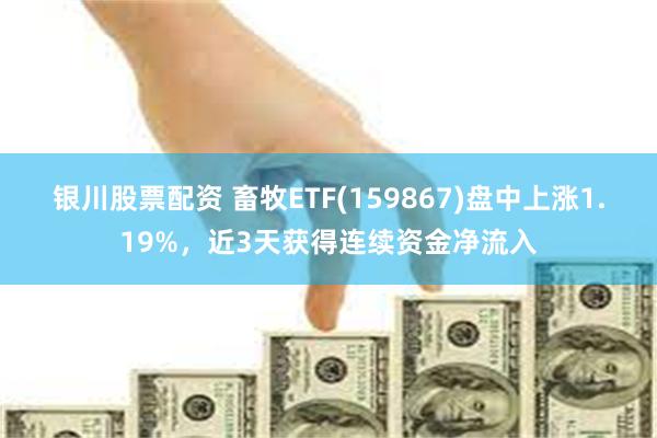 银川股票配资 畜牧ETF(159867)盘中上涨1.19%，近3天获得连续资金净流入