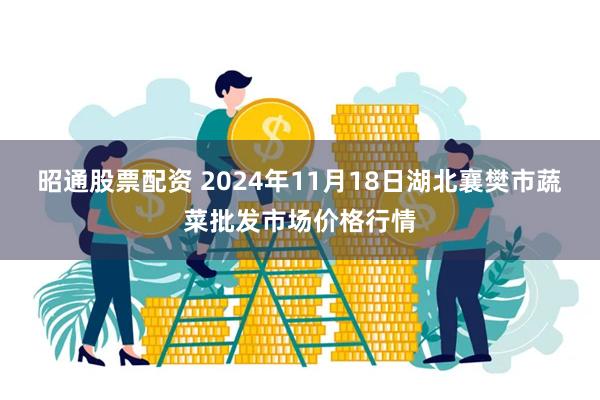 昭通股票配资 2024年11月18日湖北襄樊市蔬菜批发市场价格行情