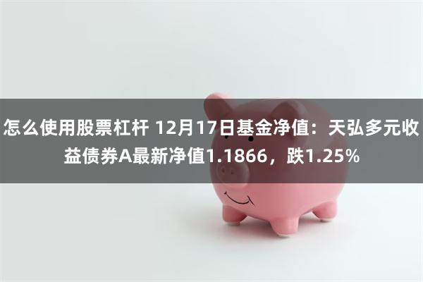 怎么使用股票杠杆 12月17日基金净值：天弘多元收益债券A最新净值1.1866，跌1.25%