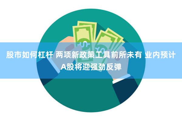 股市如何杠杆 两项新政策工具前所未有 业内预计A股将迎强劲反弹