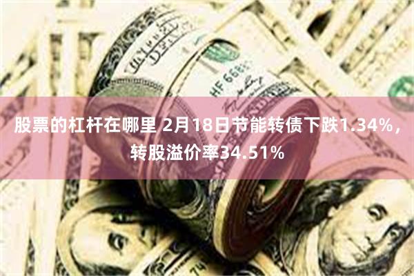 股票的杠杆在哪里 2月18日节能转债下跌1.34%，转股溢价率34.51%