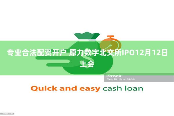专业合法配资开户 原力数字北交所IPO12月12日上会